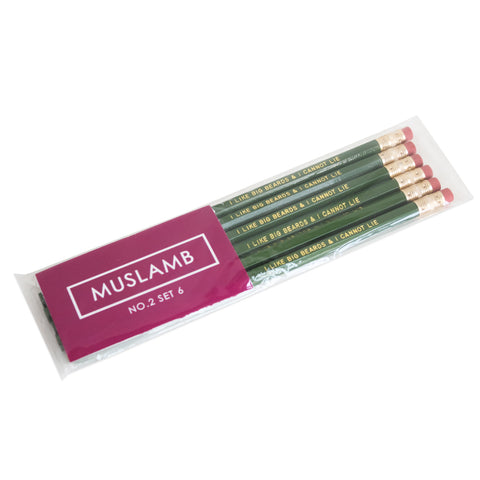 Pencil Set 6 I Like Big Beards