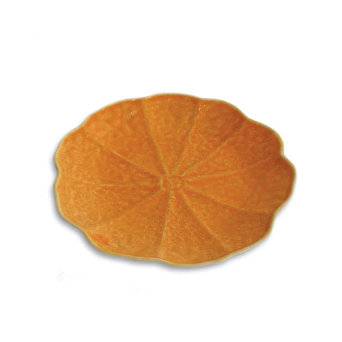 Dinner Plate Abobora
