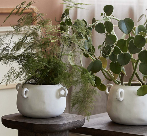 The Art of Styling with Vases: Tips for Every Room in Your Home