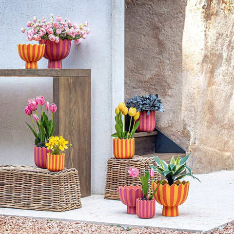 Decorative Vases UAE