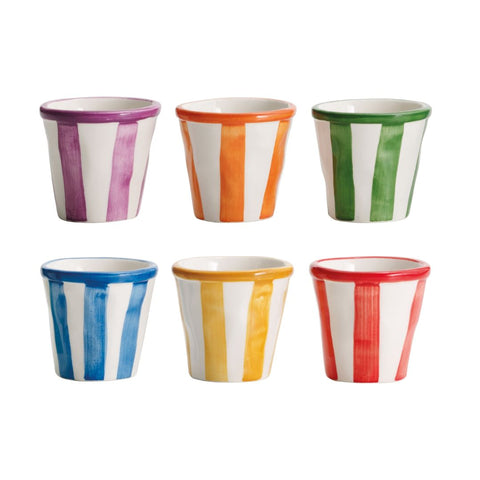 Espresso Shot Cups
